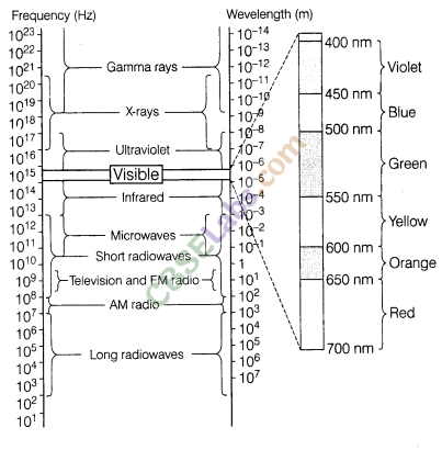 Electromagnetic Waves Class 12 Notes Chapter 8 – Merit Batch