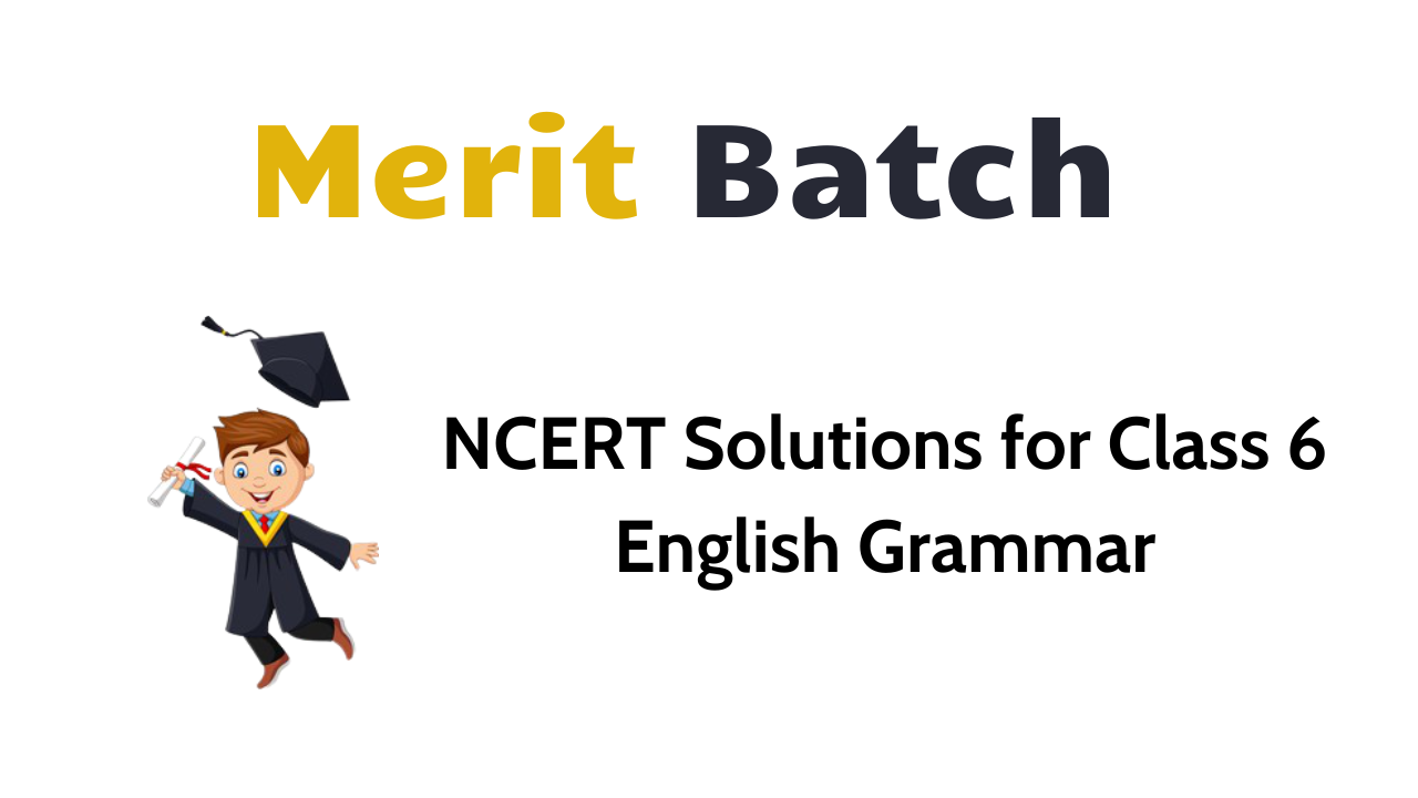 NCERT Solutions For Class 6 English Grammar – Merit Batch